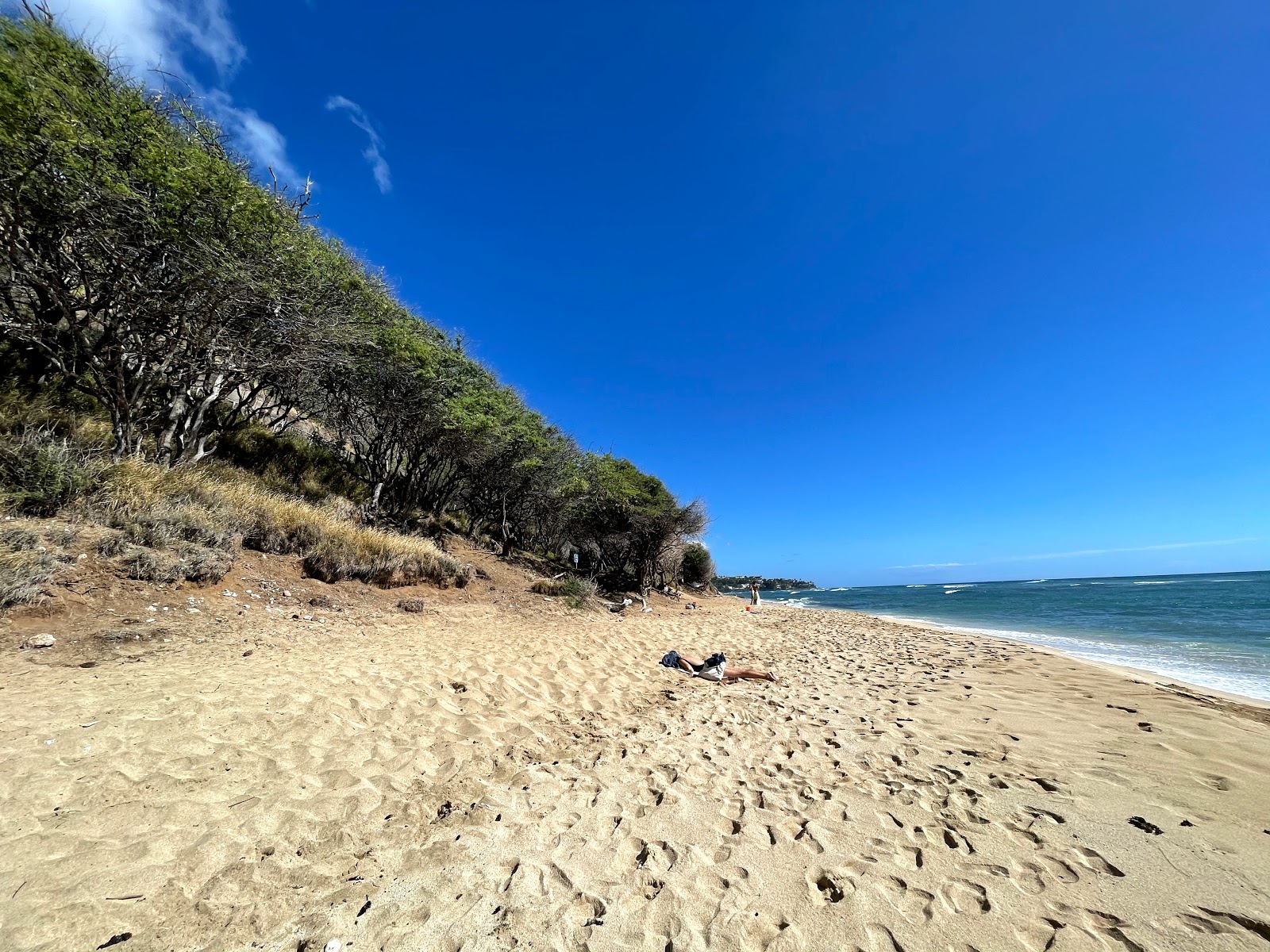 Foto von Diamond Head Beach Park mit sehr sauber Sauberkeitsgrad