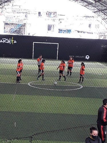Opiniones de CANCHA SINTETICA LA CANARINHA en Quito - Campo de fútbol