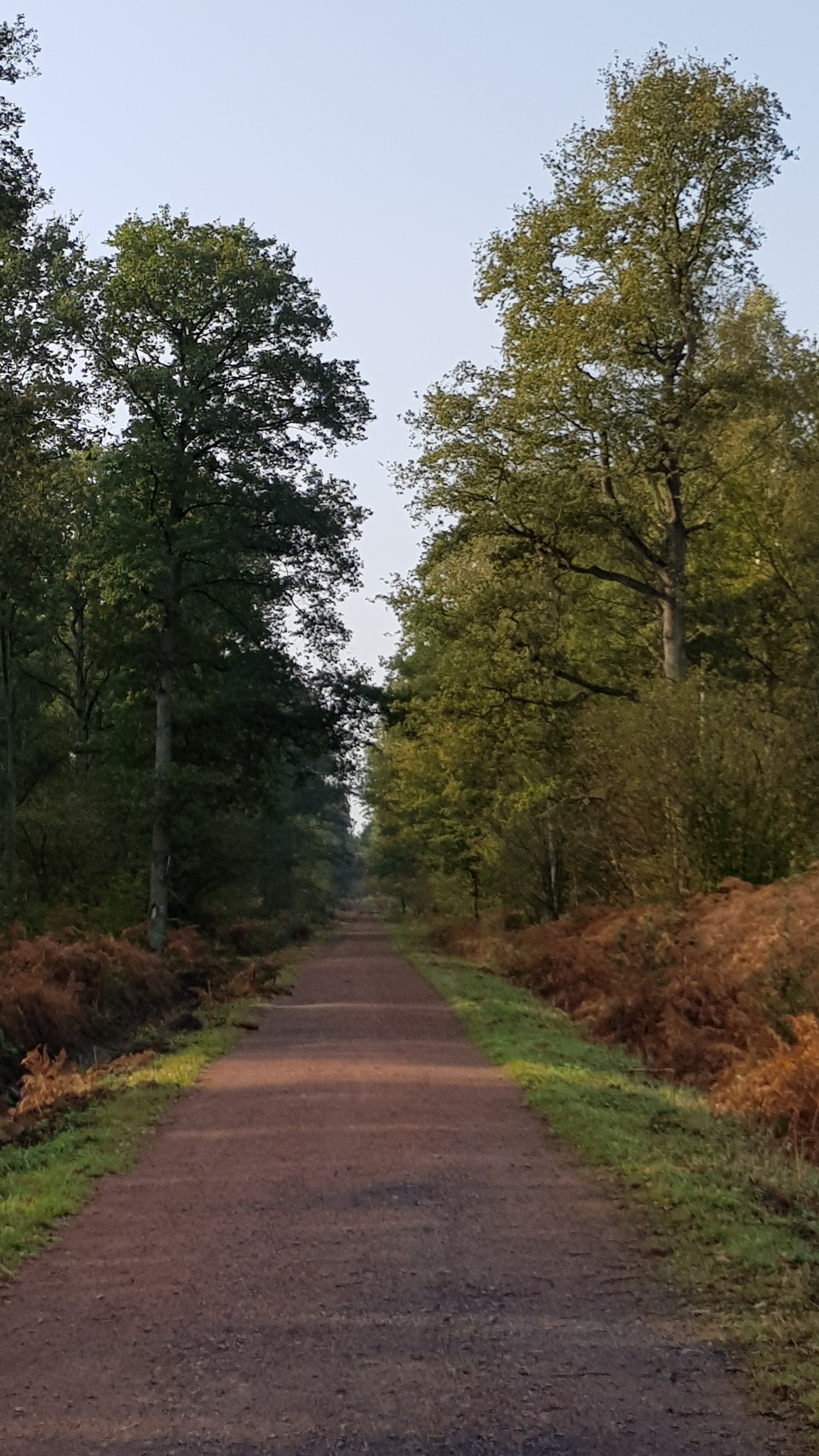 Photo n° 2 de l'avis de Halipre.a fait le 19/10/2018 à 17:05