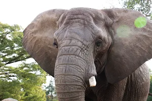 Topeka Zoo image