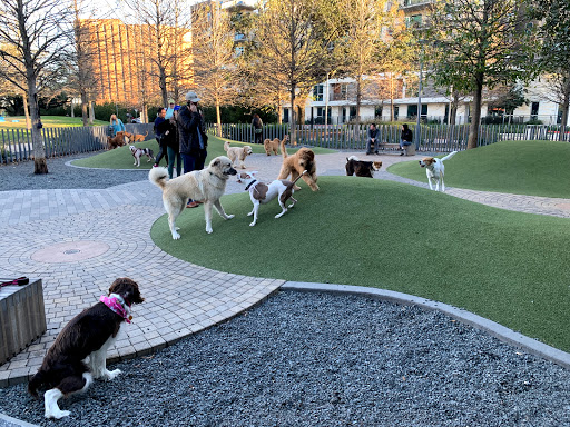 Levy Park Dog Park