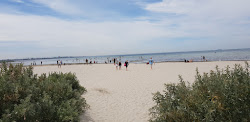Photo de Altona Beach Dog Off et le règlement