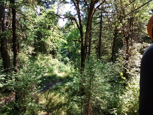 Tourist Attraction «Tree to Tree Adventure Park», reviews and photos, 2975 SW Nelson Rd, Gaston, OR 97119, USA