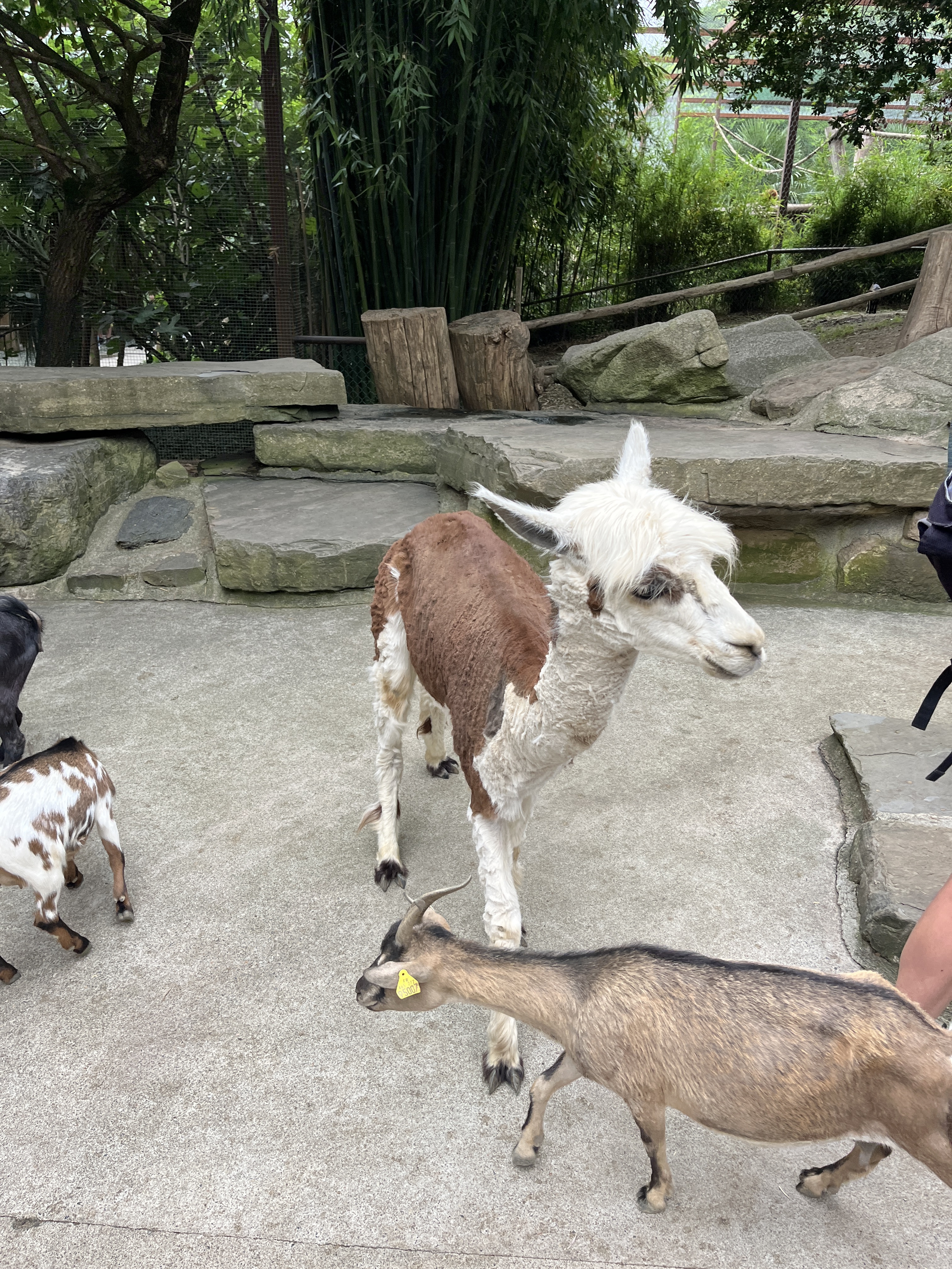 Photo n° 11 de l'avis de QIN.I fait le 16/07/2023 à 10:58