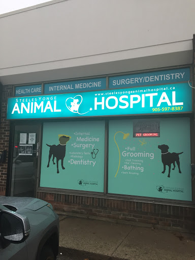 Steeles-Yonge Animal Hospital image