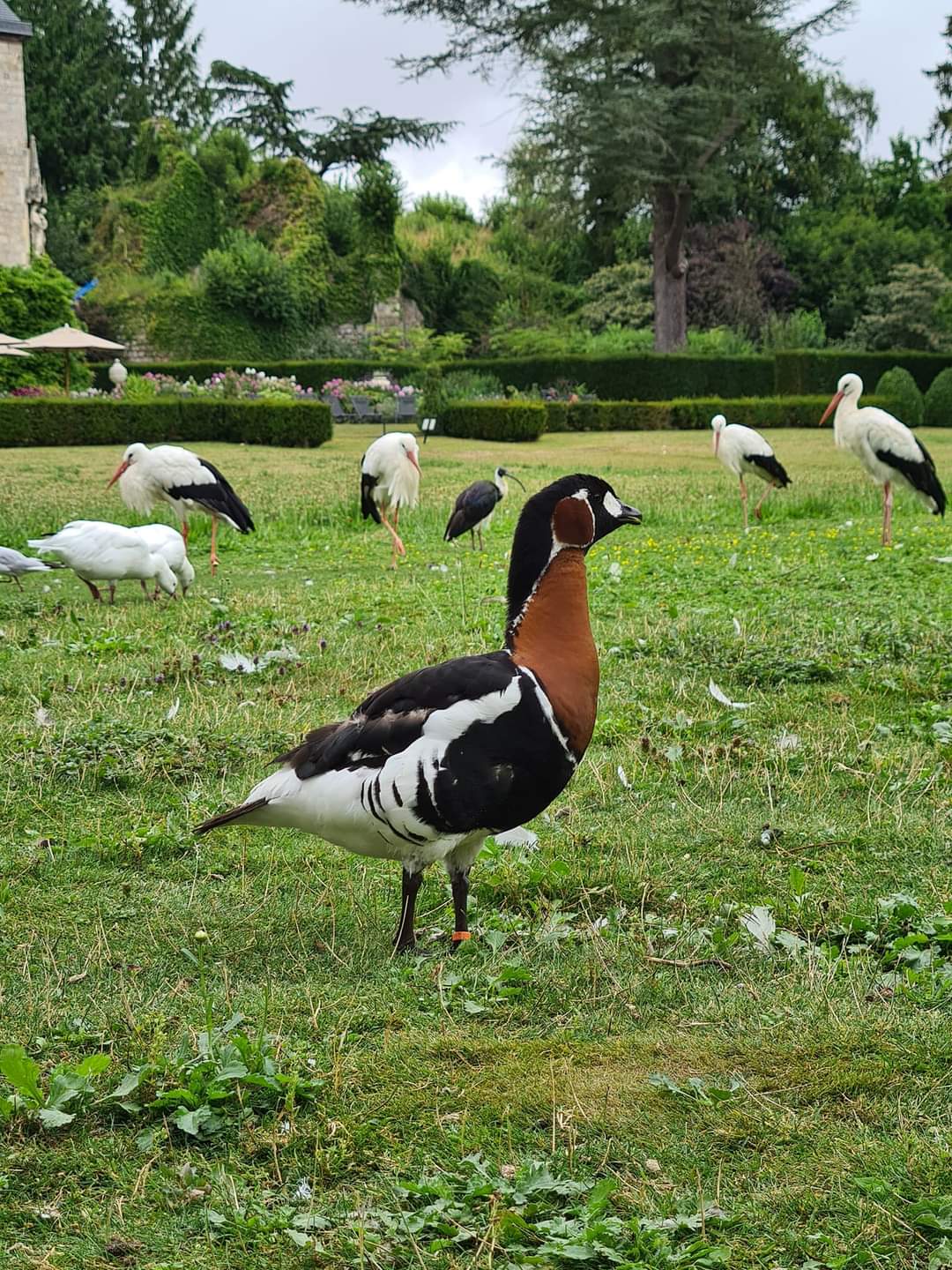 Photo n° 10 de l'avis de Maïté.e fait le 03/08/2022 à 19:24