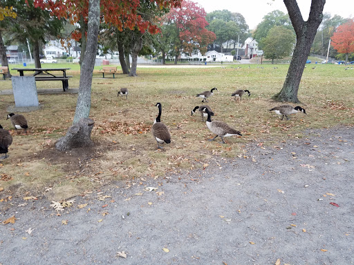 Water Park «Petersen Splash Pad at Watson Park», reviews and photos, Gordon Rd, Braintree, MA 02184, USA