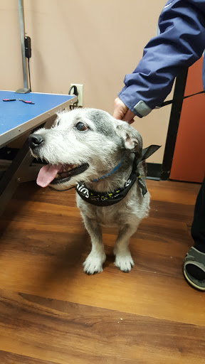 Pet Store «Pet Valu», reviews and photos, 2645 Shillington Rd, Sinking Spring, PA 19608, USA