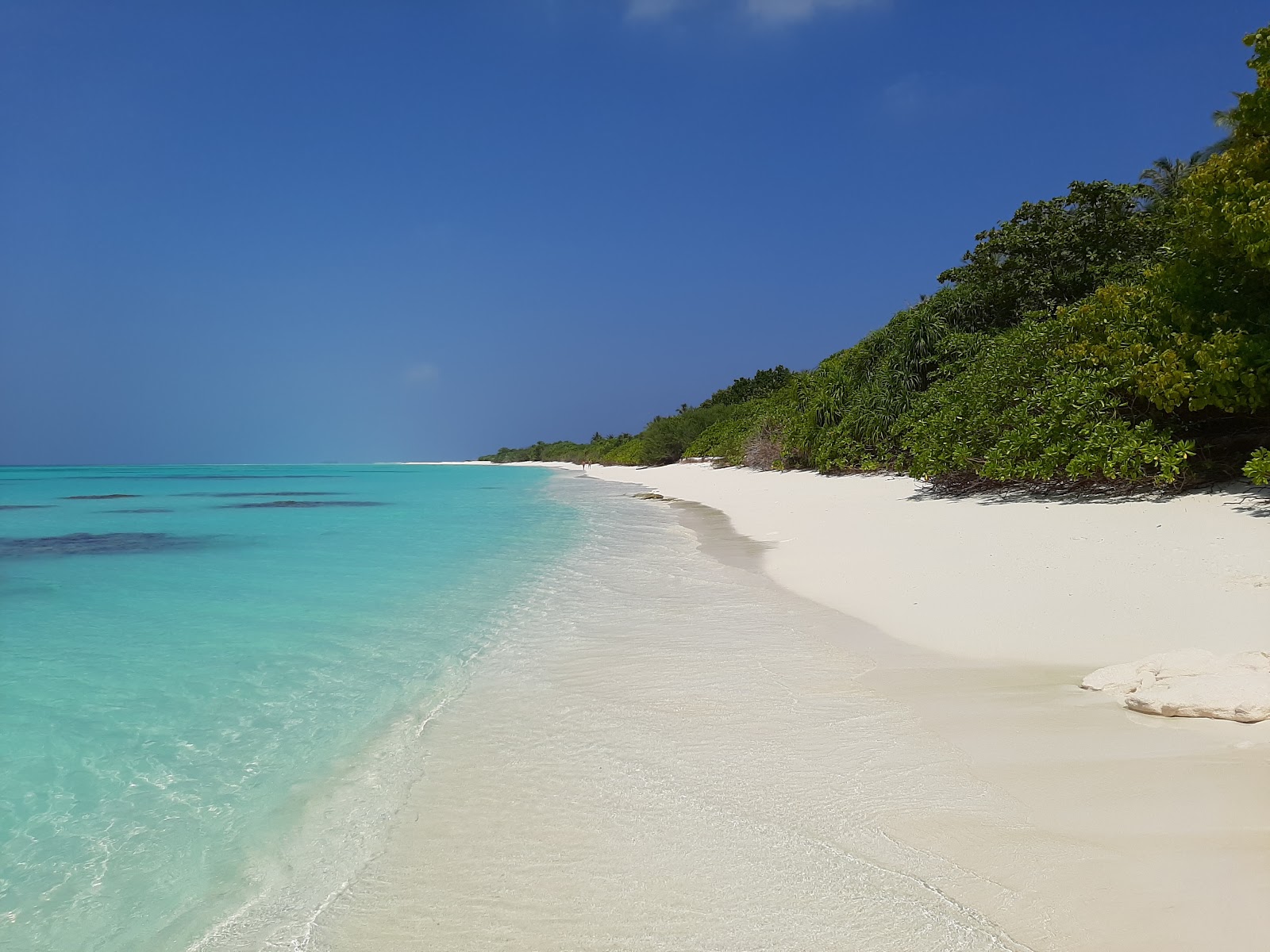 Photo of White Sandy Beach with white sand surface
