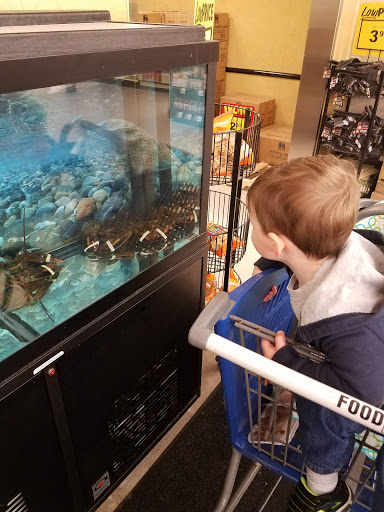 Grocery Store «Food Lion», reviews and photos, 1720 N Croatan Hwy, Kill Devil Hills, NC 27948, USA