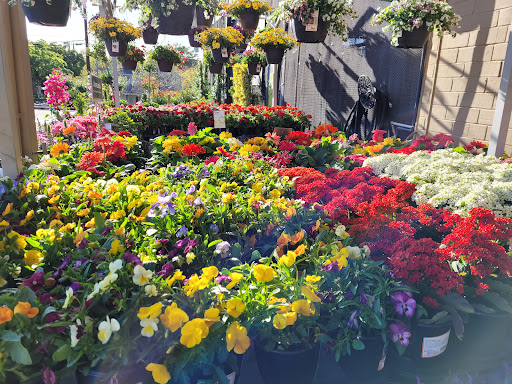 Home Improvement Store «The Home Depot», reviews and photos, 6001 Madison Ave, Carmichael, CA 95608, USA