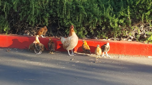 Gym «In-Shape Health Clubs», reviews and photos, 1360 Franklin Rd, Yuba City, CA 95993, USA