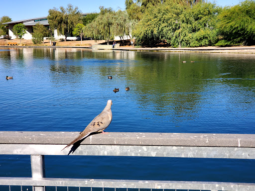 National Reserve «Riparian Preserve at Water Ranch», reviews and photos, 2757 E Guadalupe Rd, Gilbert, AZ 85234, USA