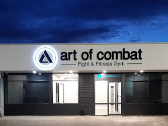 Art of Combat