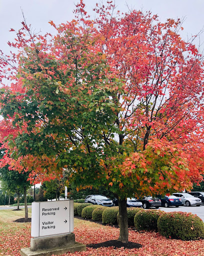 Insurance Agency «Capital Blue Cross», reviews and photos