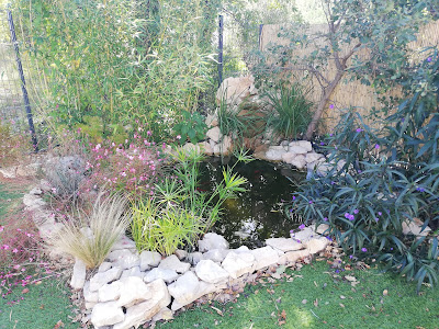 MGJ Jardins à Solliès-Pont