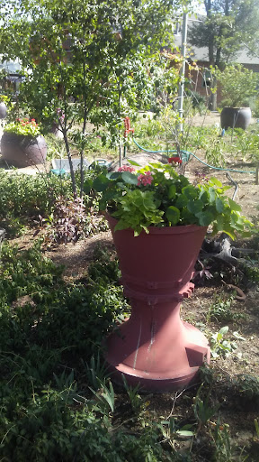 Wedding Venue «Hillside Gardens & Event Center», reviews and photos, 1006 S Institute St, Colorado Springs, CO 80903, USA