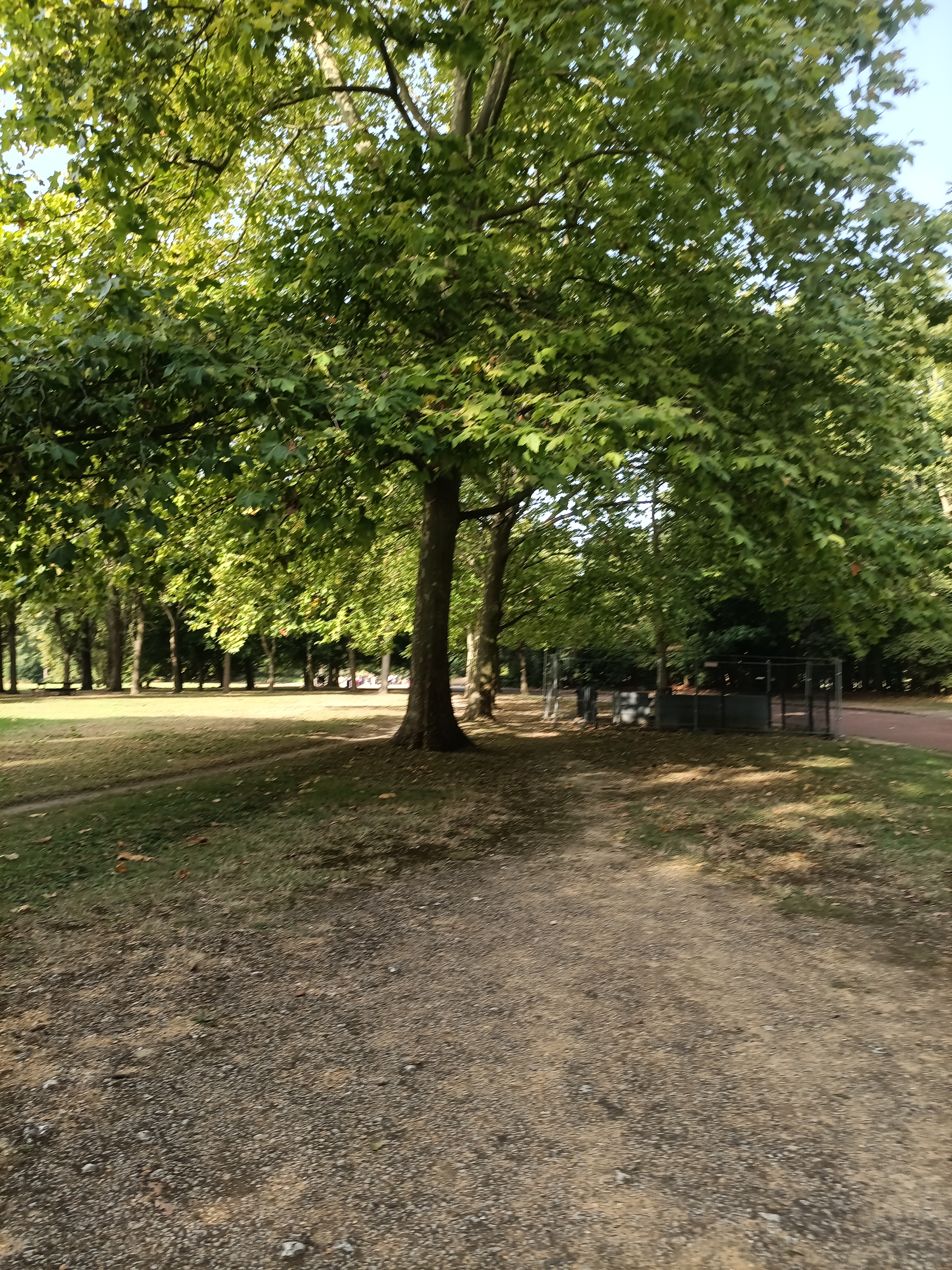 Photo n° 40 de l'avis de ini.e fait le 29/07/2023 à 12:14