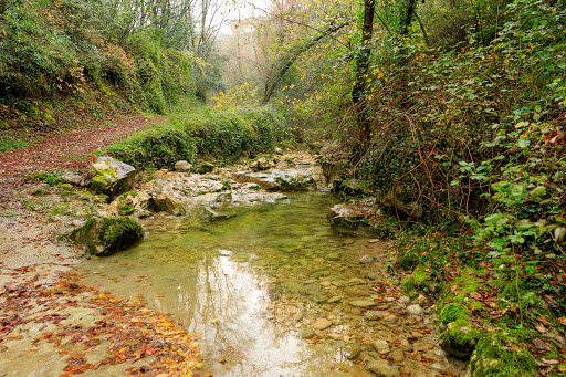 Bois de Gaudissard