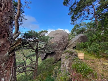 Den Store Steinen
