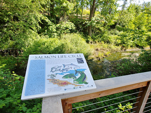 Gift Shop «Beach Basket Gift, Clothing & Christmas Shop», reviews and photos, 4102 Harborview Dr, Gig Harbor, WA 98332, USA