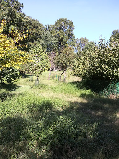 History Museum «Benjamin Banneker Historical», reviews and photos, 300 Oella Ave, Catonsville, MD 21228, USA