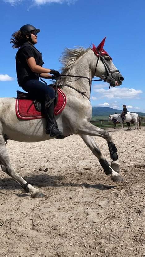 Photo n° 1 de l'avis de Christian.e fait le 05/10/2021 à 10:07