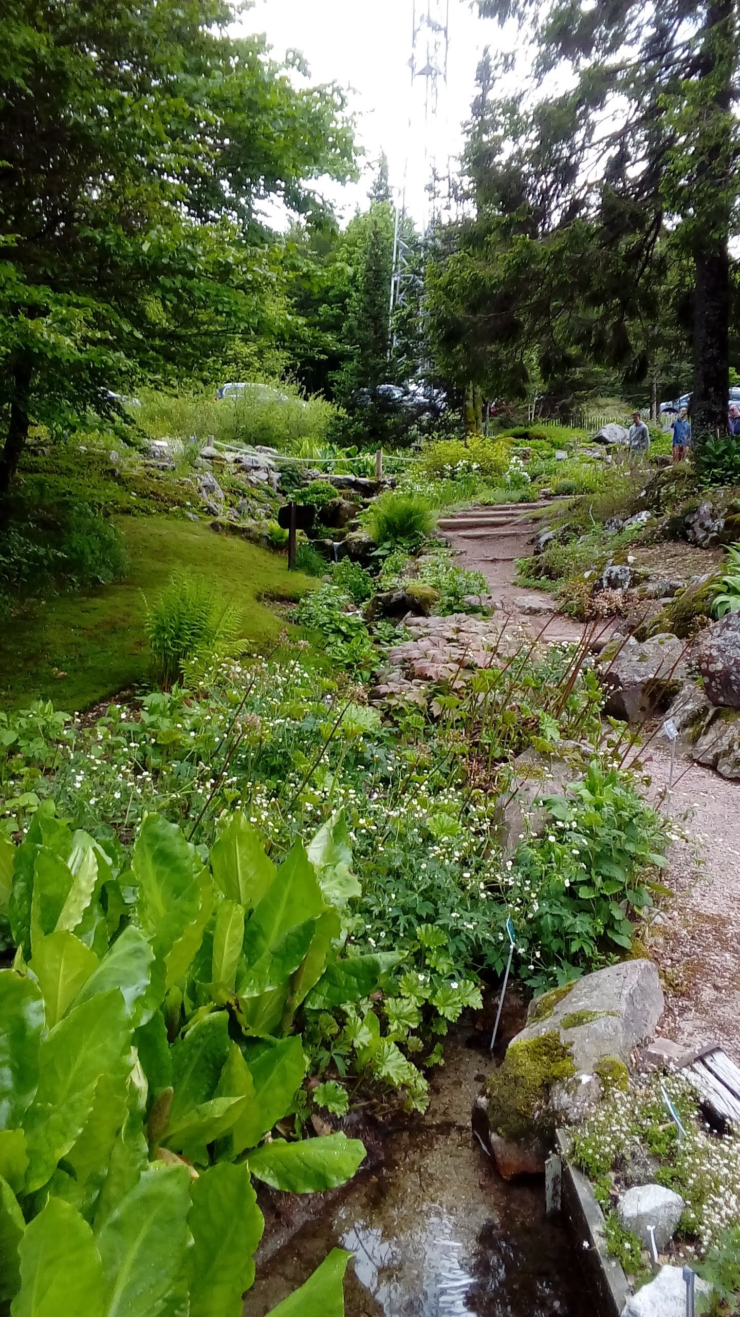 Photo n° 1 de l'avis de Elisabeth.A fait le 16/06/2019 à 19:37