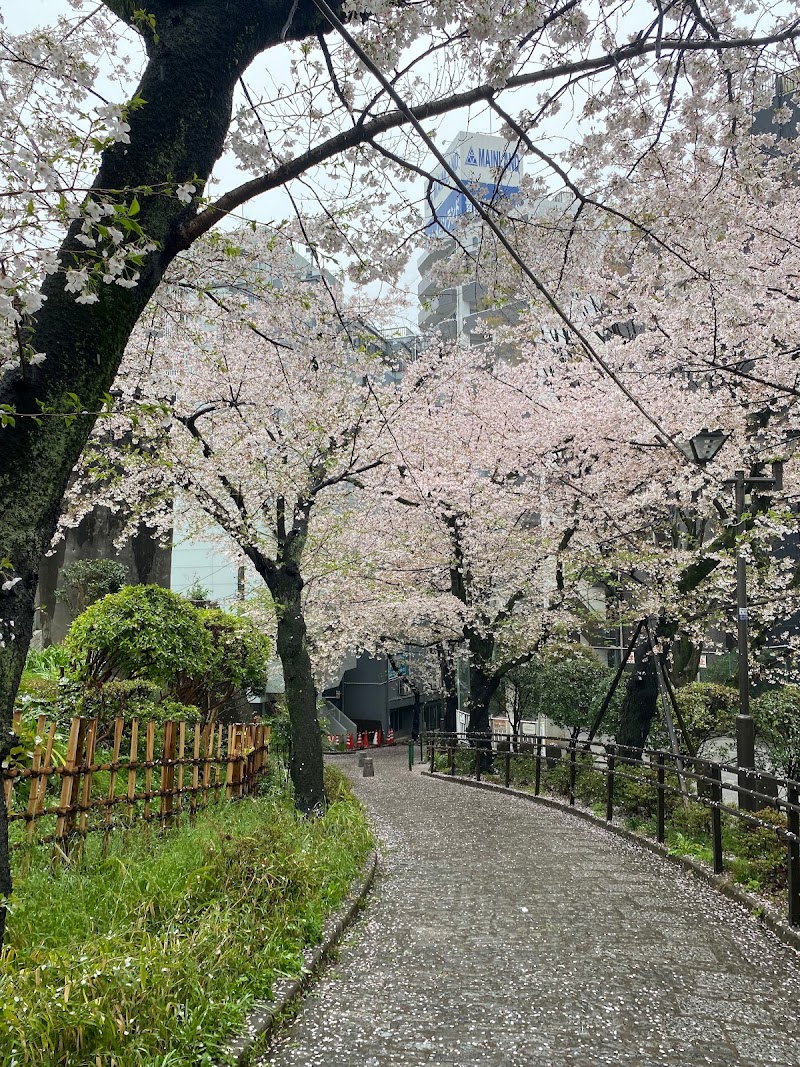 五反田公園の桜並木