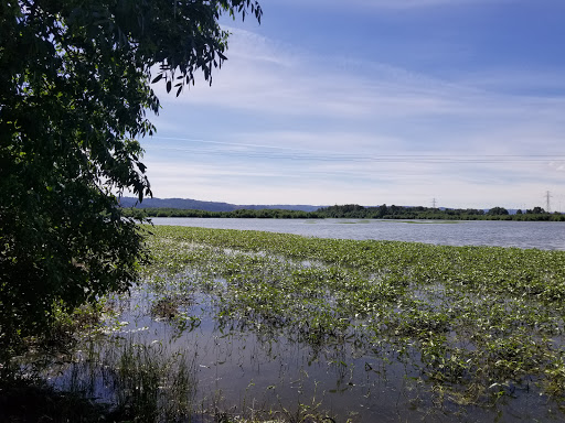 Nature Preserve «Smith and Bybee Wetlands Natural Area», reviews and photos, 5300 N Marine Dr, Portland, OR 97203, USA