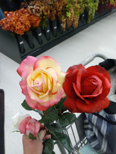 Craft Store «Hobby Lobby», reviews and photos, 750 E Lewis and Clark Pkwy, Clarksville, IN 47129, USA