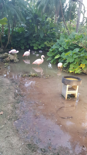 Tourist Attraction «Walton House», reviews and photos, 28501 SW 187th Ave, Homestead, FL 33030, USA