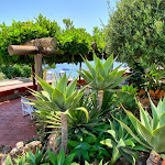 Photo n°4 de l'avis de Elenasilvia.u fait le 06/08/2021 à 14:46 sur le  Hotel Terme San Michele à Isola d'Ischia