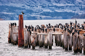 Centro de Salud Puerto Natales