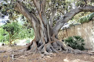 Jardín de La Misericordia image