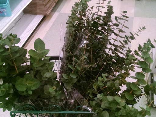 Fabric Store «Jo-Ann Fabrics and Crafts», reviews and photos, 10545 S Mall Dr, Baton Rouge, LA 70809, USA