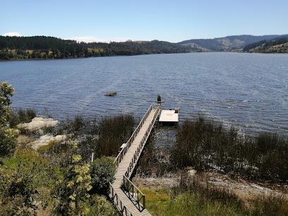 Reserva Nacional Laguna Torca