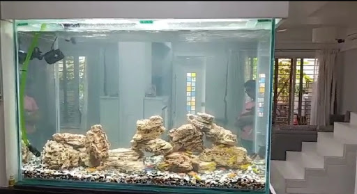 Blue Waters Fish Aquarium