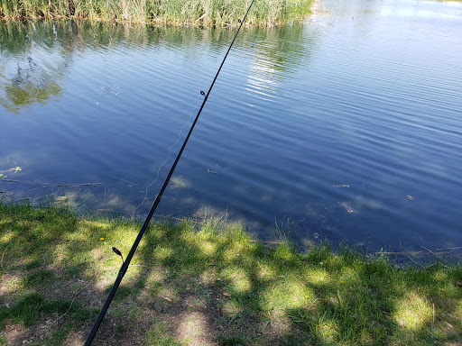 Park «Roanoke Community Park», reviews and photos, 201 Park Dr, Roanoke, TX 76262, USA