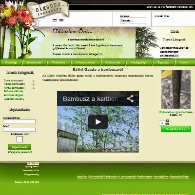 Bambuszkertészet - Erdőtelek