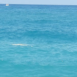 Photo n°21 de l'avis de giuseppe.c fait le 21/09/2019 à 12:41 sur le  La Tonnara Hotel Ristorante à Amantea