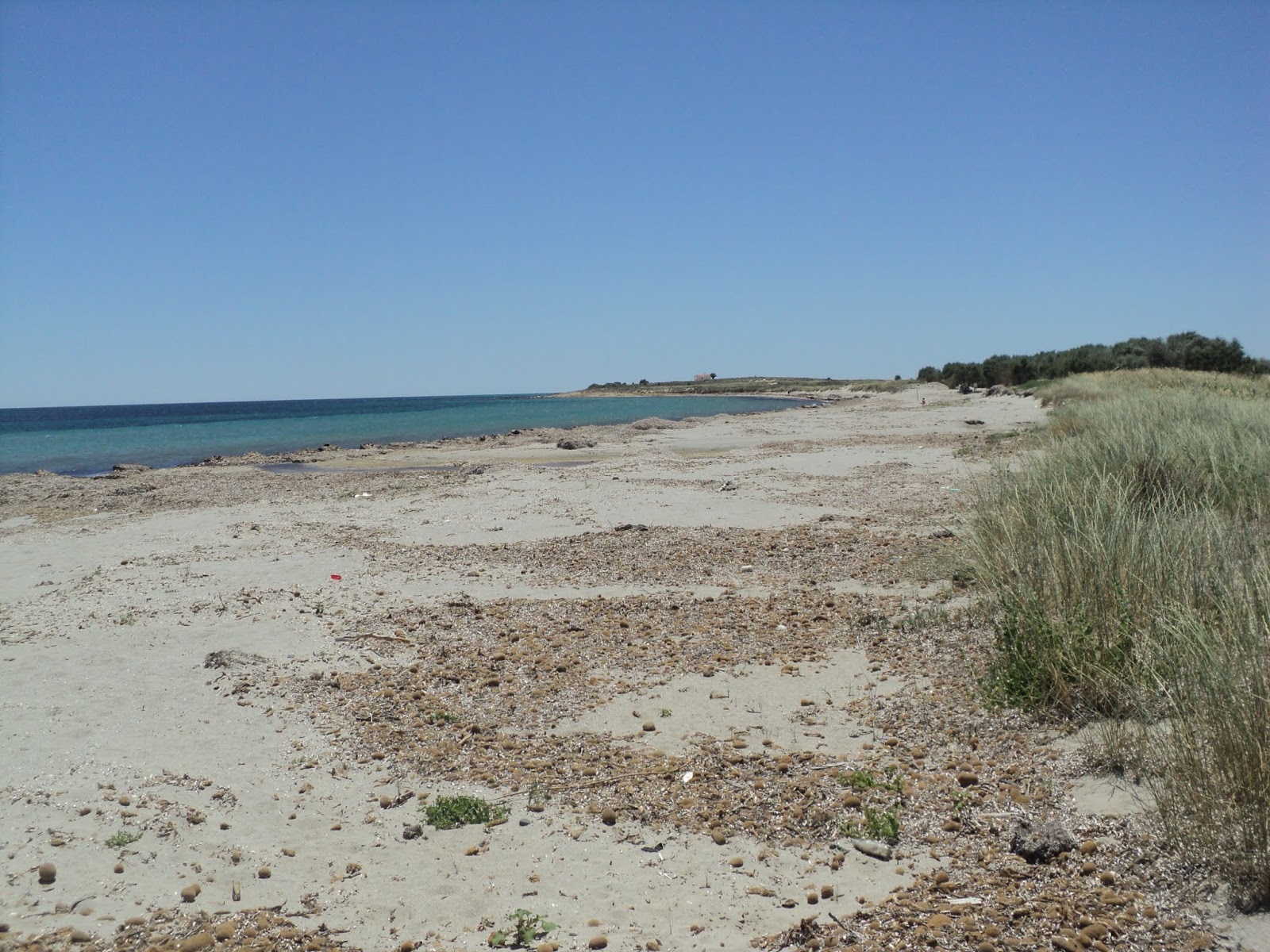 Fotografija Paralia Panagias z svetel pesek površino
