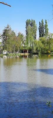 Étang des Fontenils à Villeherviers