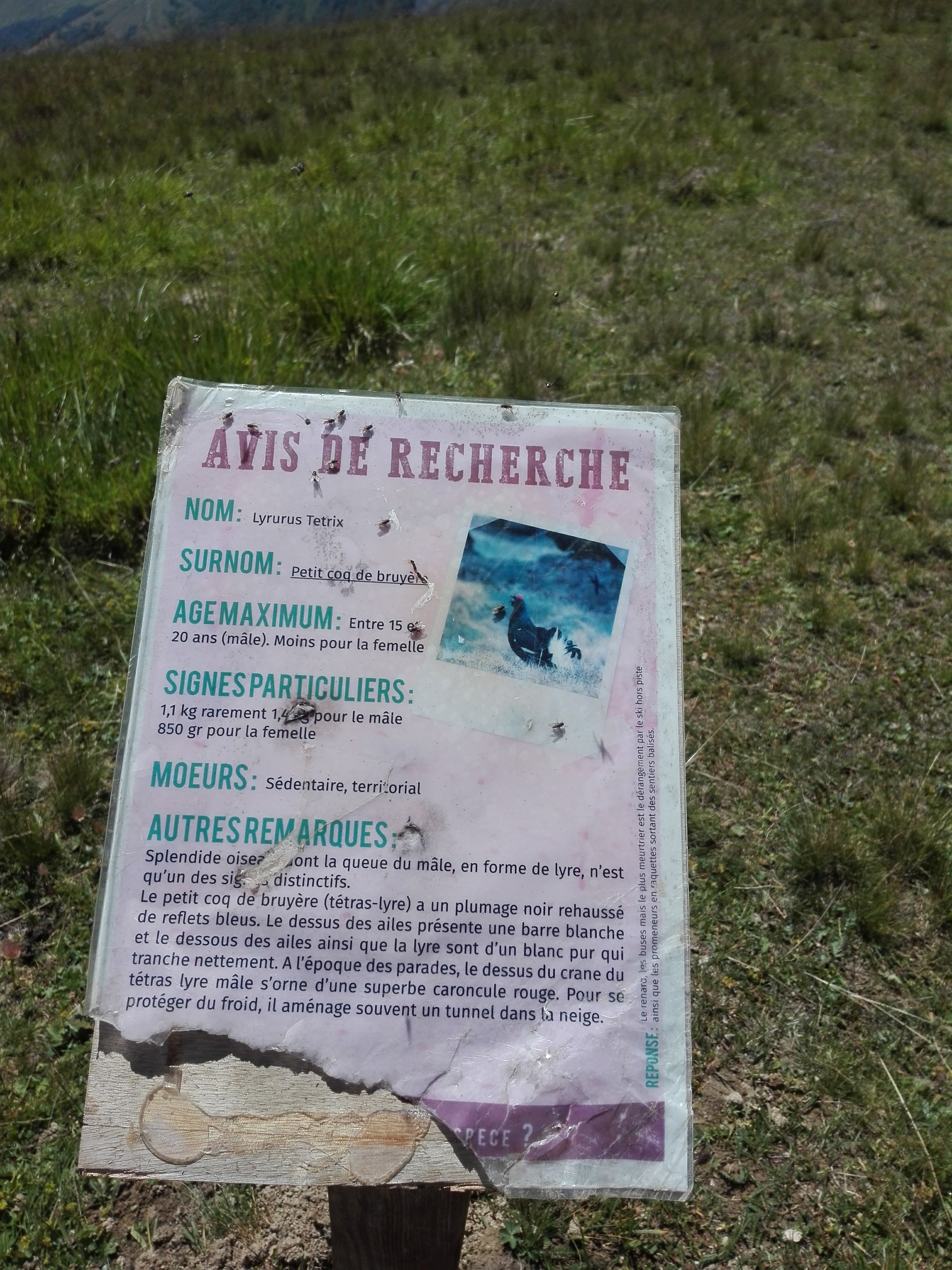 Photo n° 10 de l'avis de KATEL. fait le 30/07/2019 à 19:09