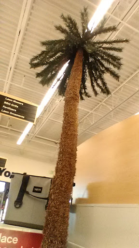 Hardware Store «Ace Hardware of Firestone», reviews and photos, 8258 Colorado Blvd, Firestone, CO 80504, USA