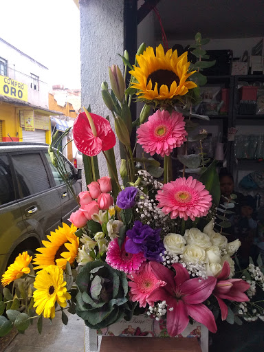 Florería orquídea de Apaseo el alto Guanajuato – Apaseo el Alto