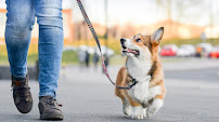 Tailz Up Omaha - Photo 1 - Car repair in , Omaha