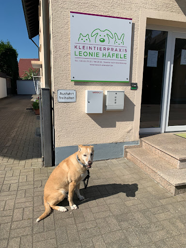 Kleintierpraxis Leonie Häfele unter Rastatt, Baden Württemberg