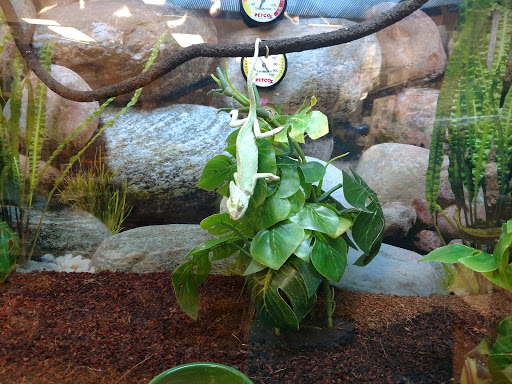 Pet Supply Store «Petco Animal Supplies», reviews and photos, 901 W Indiantown Rd #30, Jupiter, FL 33458, USA