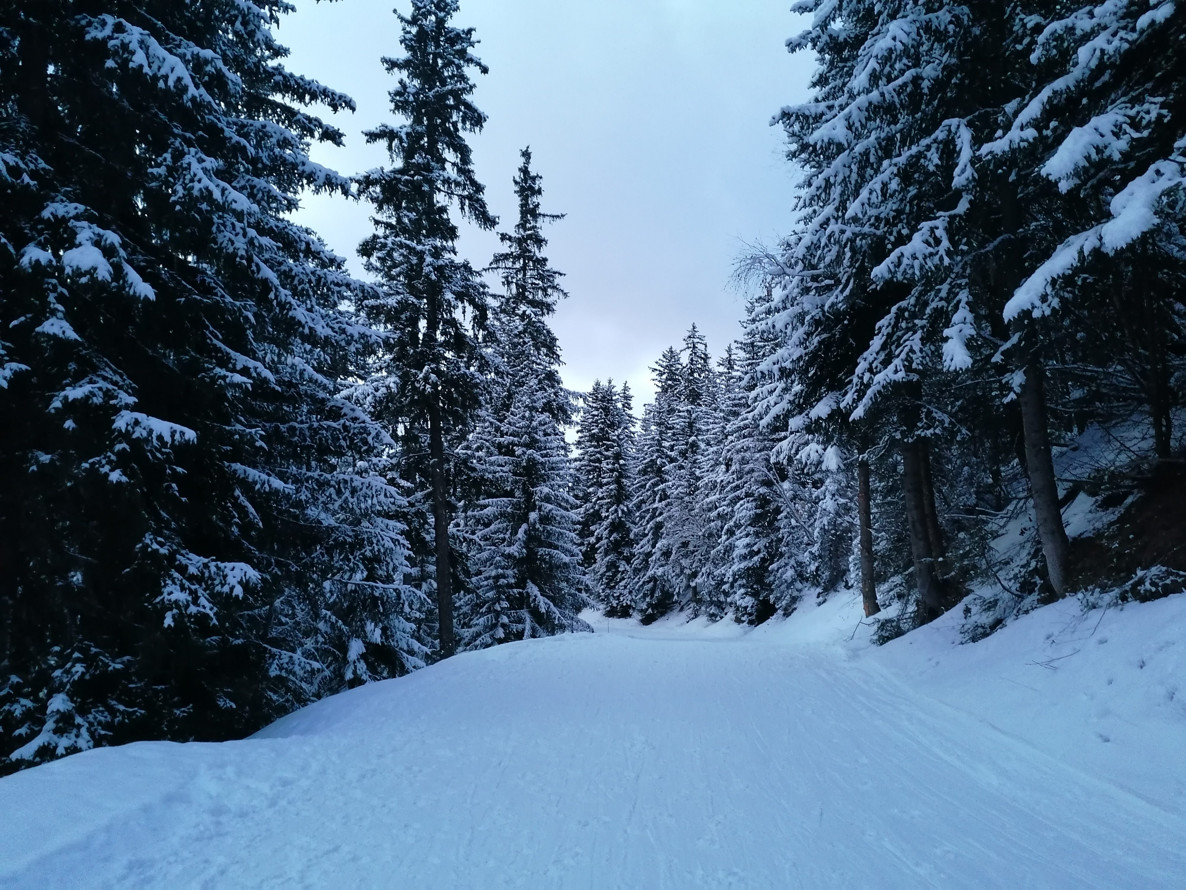 Photo n° 3 de l'avis de Pierre.u fait le 19/02/2022 à 10:10